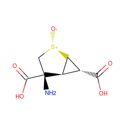 N[C@@]1(C(=O)O)C[S@+]([O-])[C@H]2[C@H](C(=O)O)[C@H]21 ZINC000035090626