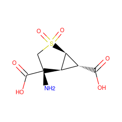 N[C@@]1(C(=O)O)CS(=O)(=O)[C@H]2[C@H](C(=O)O)[C@H]21 ZINC000013910898