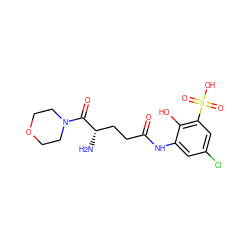 N[C@@H](CCC(=O)Nc1cc(Cl)cc(S(=O)(=O)O)c1O)C(=O)N1CCOCC1 ZINC000199079088