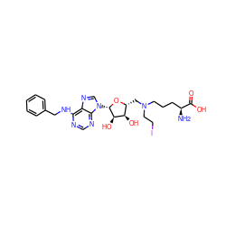 N[C@@H](CCCN(CCI)C[C@H]1O[C@@H](n2cnc3c(NCc4ccccc4)ncnc32)[C@H](O)[C@@H]1O)C(=O)O ZINC000095555570