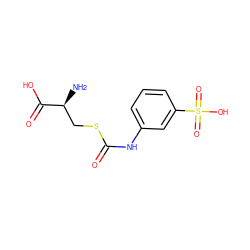 N[C@@H](CSC(=O)Nc1cccc(S(=O)(=O)O)c1)C(=O)O ZINC000149335893