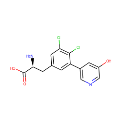 N[C@@H](Cc1cc(Cl)c(Cl)c(-c2cncc(O)c2)c1)C(=O)O ZINC000263620590