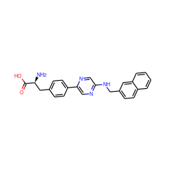 N[C@@H](Cc1ccc(-c2cnc(NCc3ccc4ccccc4c3)cn2)cc1)C(=O)O ZINC000040865613