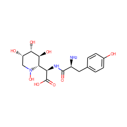 N[C@@H](Cc1ccc(O)cc1)C(=O)N[C@@H](C(=O)O)[C@H]1[C@H](O)[C@@H](O)[C@@H](O)CN1O ZINC000029487614