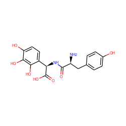 N[C@@H](Cc1ccc(O)cc1)C(=O)N[C@@H](C(=O)O)c1ccc(O)c(O)c1O ZINC000026718226