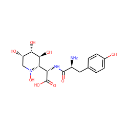 N[C@@H](Cc1ccc(O)cc1)C(=O)N[C@H](C(=O)O)[C@H]1[C@H](O)[C@@H](O)[C@@H](O)CN1O ZINC000029481139