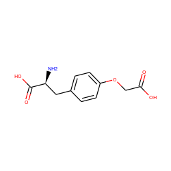 N[C@@H](Cc1ccc(OCC(=O)O)cc1)C(=O)O ZINC000027100570