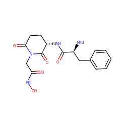 N[C@@H](Cc1ccccc1)C(=O)N[C@H]1CCC(=O)N(CC(=O)NO)C1=O ZINC000084466472