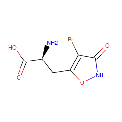 N[C@@H](Cc1o[nH]c(=O)c1Br)C(=O)O ZINC000004262468