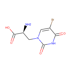 N[C@@H](Cn1cc(Br)c(=O)[nH]c1=O)C(=O)O ZINC000002047689