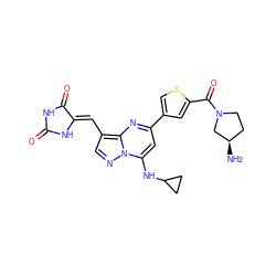 N[C@@H]1CCN(C(=O)c2cc(-c3cc(NC4CC4)n4ncc(/C=C5\NC(=O)NC5=O)c4n3)cs2)C1 ZINC000205036546