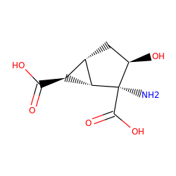 N[C@]1(C(=O)O)[C@@H]2[C@@H](C(=O)O)[C@@H]2C[C@H]1O ZINC000003993344