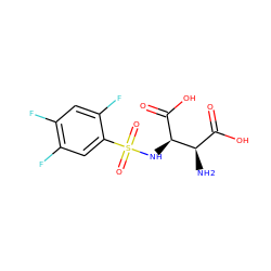 N[C@H](C(=O)O)[C@@H](NS(=O)(=O)c1cc(F)c(F)cc1F)C(=O)O ZINC001772612526