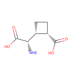 N[C@H](C(=O)O)[C@@H]1CC[C@@H]1C(=O)O ZINC000038149649