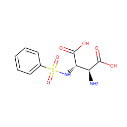 N[C@H](C(=O)O)[C@H](NS(=O)(=O)c1ccccc1)C(=O)O ZINC000145378747