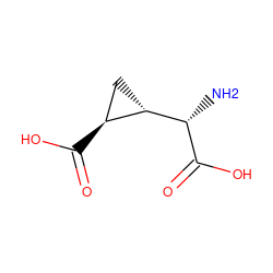 N[C@H](C(=O)O)[C@H]1C[C@@H]1C(=O)O ZINC000002568218