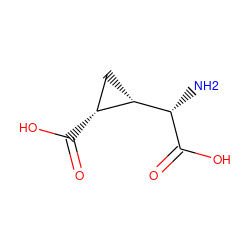 N[C@H](C(=O)O)[C@H]1C[C@H]1C(=O)O ZINC000002558026