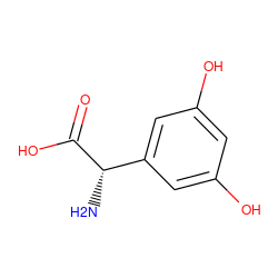 N[C@H](C(=O)O)c1cc(O)cc(O)c1 ZINC000000968043