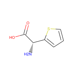 N[C@H](C(=O)O)c1cccs1 ZINC000000155404