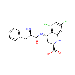 N[C@H](Cc1ccccc1)C(=O)N[C@H]1C[C@H](C(=O)O)Nc2cc(Cl)cc(Cl)c21 ZINC000013455236