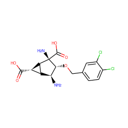 N[C@H]1[C@H]2[C@H](C(=O)O)[C@H]2[C@](N)(C(=O)O)[C@@H]1OCc1ccc(Cl)c(Cl)c1 ZINC001772642874