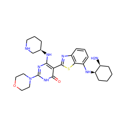 N[C@H]1CCCC[C@H]1Nc1cccc2nc(-c3c(N[C@@H]4CCCNC4)nc(N4CCOCC4)[nH]c3=O)sc12 ZINC000299829891