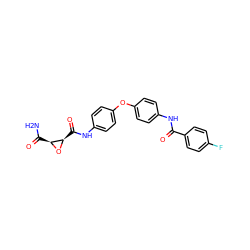 NC(=O)[C@@H]1O[C@@H]1C(=O)Nc1ccc(Oc2ccc(NC(=O)c3ccc(F)cc3)cc2)cc1 ZINC000299857922