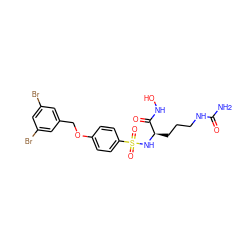 NC(=O)NCCC[C@@H](NS(=O)(=O)c1ccc(OCc2cc(Br)cc(Br)c2)cc1)C(=O)NO ZINC000096284908