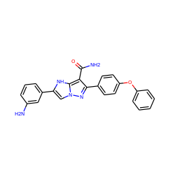 NC(=O)c1c(-c2ccc(Oc3ccccc3)cc2)nn2cc(-c3cccc(N)c3)[nH]c12 ZINC001772633575