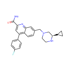 NC(=O)c1cc(-c2ccc(F)cc2)c2ccc(CN3CCN[C@H](C4CC4)C3)cc2n1 ZINC000221617990