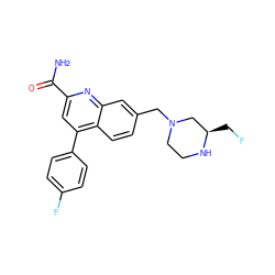 NC(=O)c1cc(-c2ccc(F)cc2)c2ccc(CN3CCN[C@H](CF)C3)cc2n1 ZINC000221617549