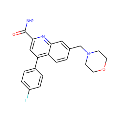 NC(=O)c1cc(-c2ccc(F)cc2)c2ccc(CN3CCOCC3)cc2n1 ZINC000220757946