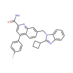 NC(=O)c1cc(-c2ccc(F)cc2)c2ccc(Cn3c(C4CCC4)nc4ccccc43)cc2n1 ZINC000221616221