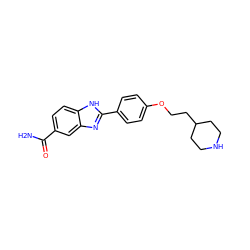 NC(=O)c1ccc2[nH]c(-c3ccc(OCCC4CCNCC4)cc3)nc2c1 ZINC000038224572