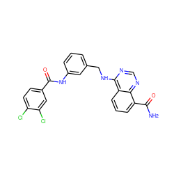 NC(=O)c1cccc2c(NCc3cccc(NC(=O)c4ccc(Cl)c(Cl)c4)c3)ncnc12 ZINC000114399161