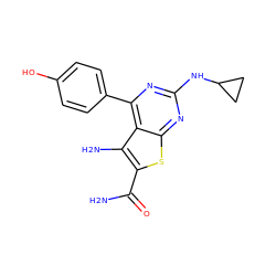 NC(=O)c1sc2nc(NC3CC3)nc(-c3ccc(O)cc3)c2c1N ZINC000073223731