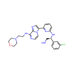 NC[C@@H](Nc1cccc(-c2cnc3c(NCCN4CCOCC4)nccn23)n1)c1cccc(Cl)c1 ZINC000169701279