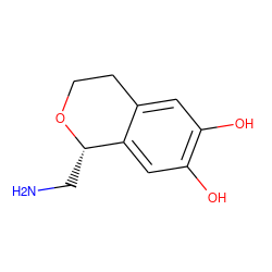 NC[C@@H]1OCCc2cc(O)c(O)cc21 ZINC000011422291