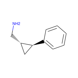 NC[C@H]1C[C@@H]1c1ccccc1 ZINC000029480843