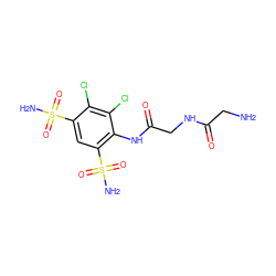 NCC(=O)NCC(=O)Nc1c(S(N)(=O)=O)cc(S(N)(=O)=O)c(Cl)c1Cl ZINC000013800644