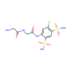 NCC(=O)NCC(=O)Nc1cc(Cl)c(S(N)(=O)=O)cc1S(N)(=O)=O ZINC000013800645