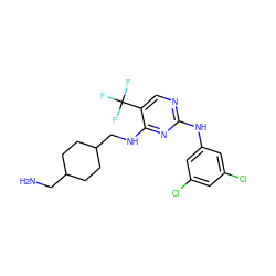 NCC1CCC(CNc2nc(Nc3cc(Cl)cc(Cl)c3)ncc2C(F)(F)F)CC1 ZINC000028898334