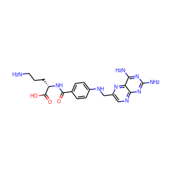 NCCC[C@H](NC(=O)c1ccc(NCc2cnc3nc(N)nc(N)c3n2)cc1)C(=O)O ZINC000013525138