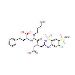 NCCCC[C@H](N[C@@H](CCc1ccccc1)C(=O)O)C(=O)N(CC(=O)O)C[C@@H]1Nc2cc(Cl)c(S(N)(=O)=O)cc2S(=O)(=O)N1 ZINC000029336918