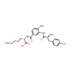 NCCCC[C@H](NC(=O)c1ccc(N)c(NC(=O)[C@@H](N)Cc2ccc(O)cc2)c1)C(=O)O ZINC000299861193