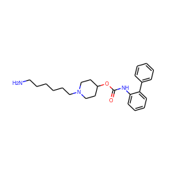 NCCCCCCN1CCC(OC(=O)Nc2ccccc2-c2ccccc2)CC1 ZINC000066097866