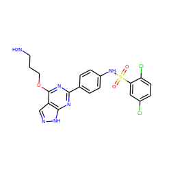 NCCCOc1nc(-c2ccc(NS(=O)(=O)c3cc(Cl)ccc3Cl)cc2)nc2[nH]ncc12 ZINC000299841234