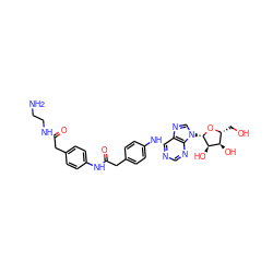 NCCNC(=O)Cc1ccc(NC(=O)Cc2ccc(Nc3ncnc4c3ncn4[C@@H]3O[C@H](CO)[C@@H](O)[C@H]3O)cc2)cc1 ZINC000004475057