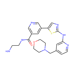 NCCNC(=O)c1cncc(-c2cnc(Nc3cc(CN4CCOCC4)ccn3)s2)c1 ZINC000034841153