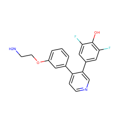 NCCOc1cccc(-c2ccncc2-c2cc(F)c(O)c(F)c2)c1 ZINC000473093013